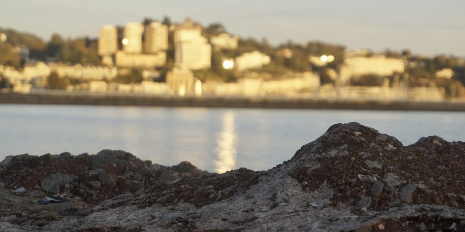 Helping an executor navigate a complex estate