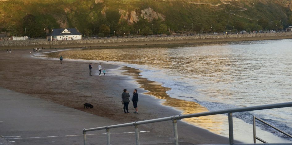 Updating wills to reflect a growing family and future plans